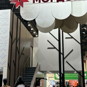 Международный экономический форум «Россия – Исламский мир: KazanForum» (Казань, 8.400+ чел.)