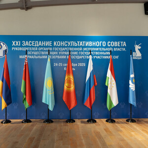 XXI заседание Консультативного совета руководителей органов государственных материальных резервов СНГ (Казань, 30 чел.)